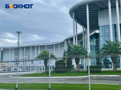 Студенческий городок в Сириусе построят с применением методик микроклиматического моделирования