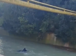 «Фокус не удался, фокусник был пьян»: в Сочи мужчина свалился в реку, пытаясь по трубе перебраться через неё