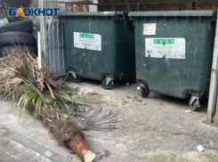 Регоператор «Крайжилкомресурс» ищет подрядчика, который вывезет мусор из Сочи за 3, 7 миллиарда рублей