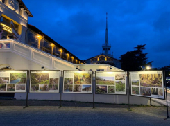 На площади Морского порта открылась выставка, посвященная природе Сочи