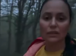 Девушка встретила медведя во время вечерней пробежки в Сочи