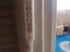 «В квартире +15, мерзнем»: мэра Сочи одолели жалобами из-за преждевременного отключения отопления