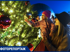 На Олимпийской площади в «Сириусе» зажгли новогоднюю ёлку