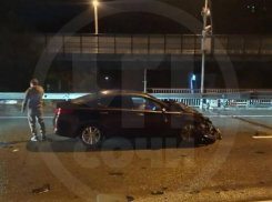 Иномарка насмерть сбила корову на трассе в Сочи