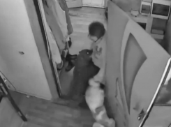 Две соседские собаки напали на пенсионерку в Сочи