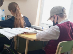  Мальчик, покусанный собаками в Сочи, вернулся к занятиям в школе