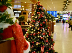 470 тысяч пассажиров ждут в новогодние праздники в аэропорту Сочи