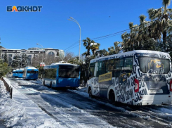  В Сочи водители автобусов отказались выходить на маршрут из-за гололеда 