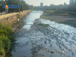 В замусоренную «речку-вонючку» превращается крупная река Сочи