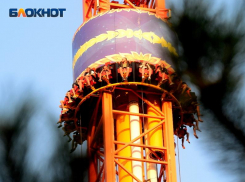 Более полумиллиона гостей посетило Сочи Парк за лето