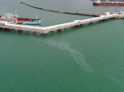 По факту загрязнения Черного моря возбудили уголовное дело