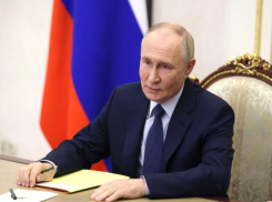 Владимир Путин высказался об идеи выращивать бананы в Сочи