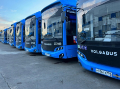 25 экологичных автобусов запустят в Сочи
