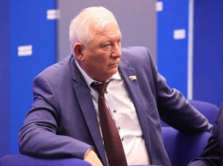 Брал не только деньгами: стало известно, какую взятку получил депутат Госдумы Вороновский от Напсо из Сочи
