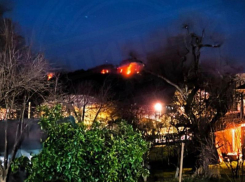 В Сочи массово горят леса