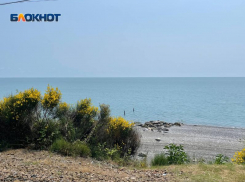 Нудист забросал камнями возмущенного оператора на пляже Сочи