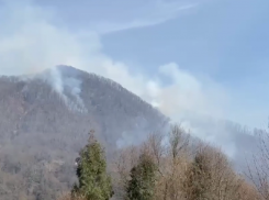 180 тонн воды сбросили на пожар, который сутки продолжается в лесу Сочи