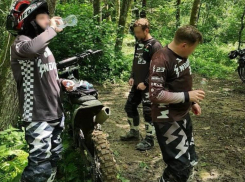 7 нарушителей выявили в лесу Сочи за пару дней
