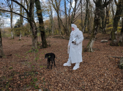 В Сочинском нацпарке прошла закладка оральной вакцины от бешенства