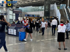  В аэропорту Сочи задержали фигуранта дела о хищении земель национального парка