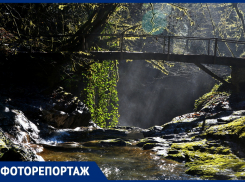 Экотропа «Ажек»: эксклюзивные кадры популярного туристического маршрута Сочи