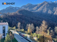  Штраф получил бизнесмен, незаконно привлекающий инвестиции в глэмпинги Сочи