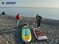 Лишь 3% туристов проведут 23 февраля и 8 марта в Сочи