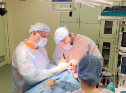 Врачи полностью восстановили нос ребенку, покусанному собаками в Сочи