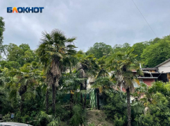 Пасмурно и дожди: какая погода ожидается в Сочи 