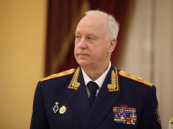 СКР начал проверку после нападения двух собак на пенсионерку в Сочи