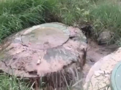 «Дермище впадает в море»: элитный ЖК продолжает заливать фекалиями Сочи