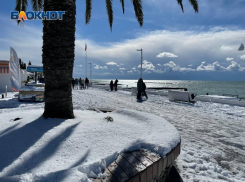 Заморозки ожидаются в Сочи в предновогодние дни