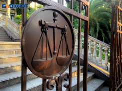 Суд приостановил миллиардный иск Минприроды к «Сочинеруду» из-за уголовного дела