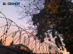 Сотрудницу нацпарка Сочи отправили в СИЗО за посредничество во взяточничестве