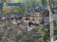 Все кладбища Сочи станут цифровыми к 2027 году