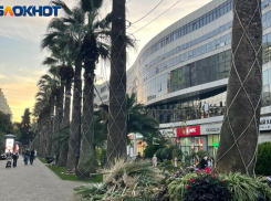  Самой дорогой торговой улицей регионов стала Навагинская в Сочи