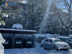 В Сочи 23 УК попались на ненадлежащей уборке территорий