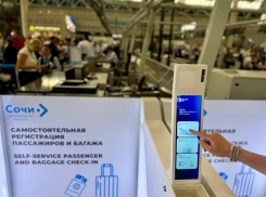 В аэропорту Сочи ввели сервис самообслуживания на рейс