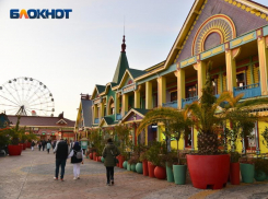 Экоинициативы Сочи Парка позволили спасти 654 дерева