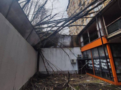 Деревья падают, ситуация критическая, никто не помог: жители многоквартирного дома в Сочи, которому угрожает оползень, жалуются на бездействие 