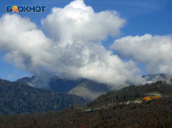 Садоводы, чьи участки изымают в Сочи, вновь обратились в суд