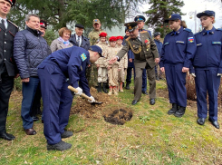 Аллею участников СВО высадили в Сочи в День защитника Отечества