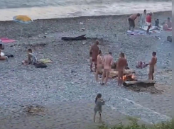 Многие пользователи осудили толпу нудистов отдыхающих у костра на пляже в Сочи 