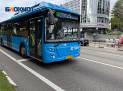 В мэрии Сочи сообщили, как будет работать общественный транспорт в праздники