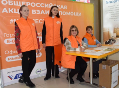 Павильон штаба всероссийской акции «МЫВМЕСТЕ» открыли в Сочи