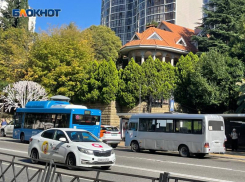 «ТРАНС-БАЛТ» до 56 рублей поднял стоимость проезда в маршрутках Сочи