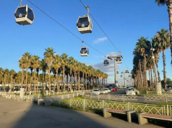  Канатную дорогу планируют создать на федеральной территории Сириус