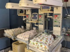 Первая в 2026 году тройня родилась в Сочи