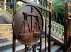 Верховный суд отменил решение о лишении водительских прав жительницы Сочи из-за недоставленного СМС