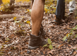 Пробежка, совмещенная со сбором мусора, пройдет в горах Сочи